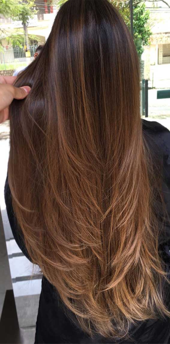 Best Hair Color Ideas To Refresh Your Appearance Chestnut Brown Looks