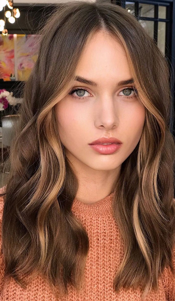 35 Fabulous Brown Hairstyles With Blonde Highlights Best Hair Ideas   Trends
