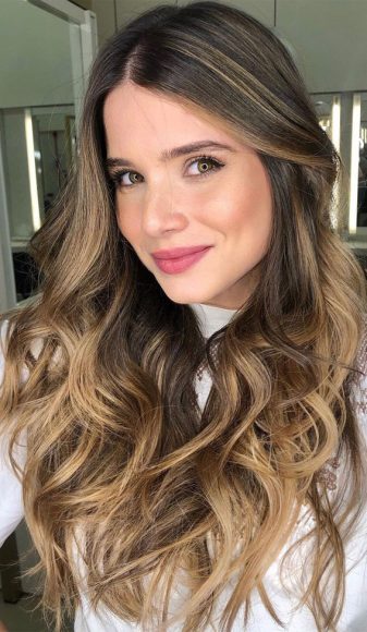 Best Brown Hair Colour Ideas with Highlights and Lowlights : Dark Brown