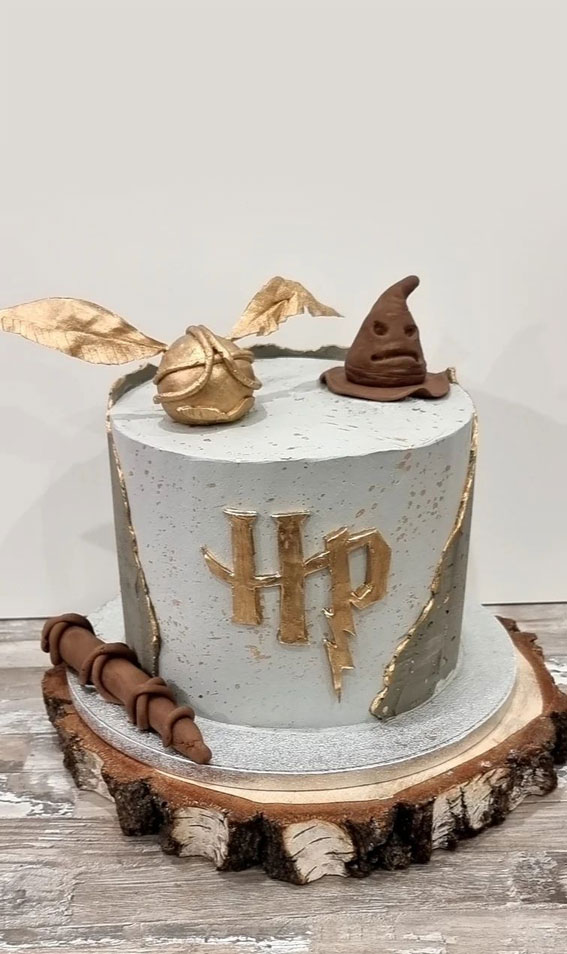 Amazing Hagrid's Hut from Harry Potter Birthday Cake