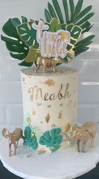 34 Two Wild Birthday Cake Ideas Undone Wild Cake