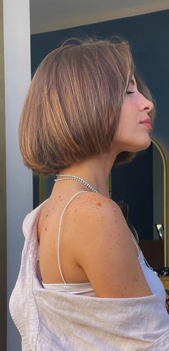 52 Best Bob Haircut Trends To Try in 2023 : Classic Bob Brown Hair