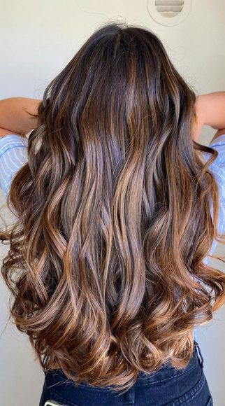 Sophisticated Hair Colour Ideas for a Chic Look : Brunette with Dark ...