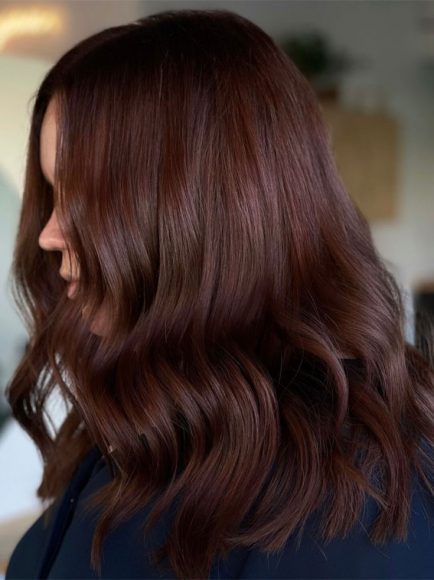 20 Tempting Cherry Cola Hair Colour Ideas Cherry Cola Brunette   Cherry Cola Hair 225 6 434x580 