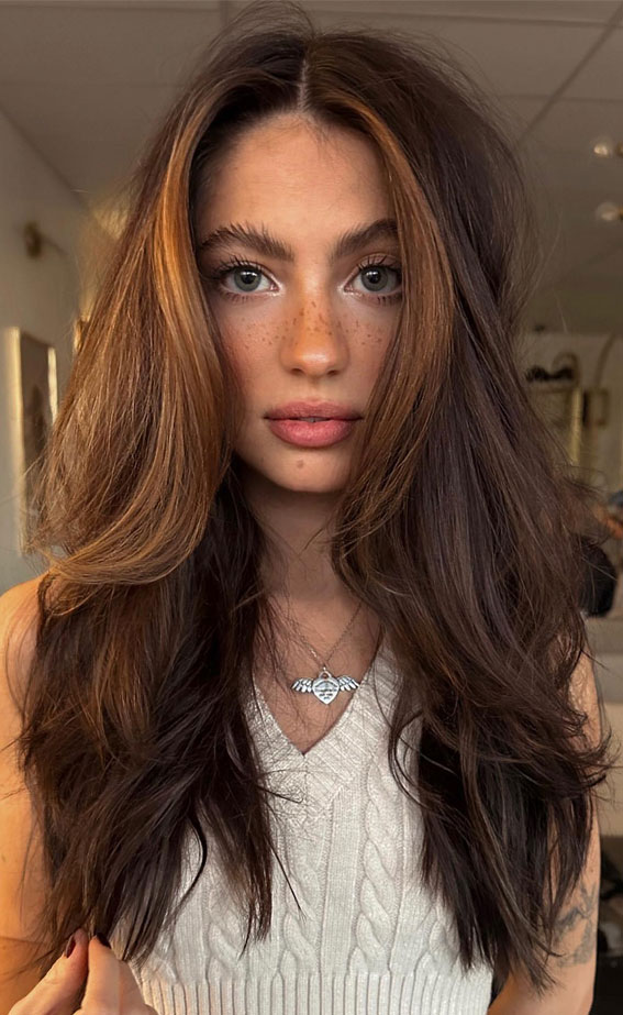 Chestnut Brown with Honey Face Framing, best hair colour for autumn and winter