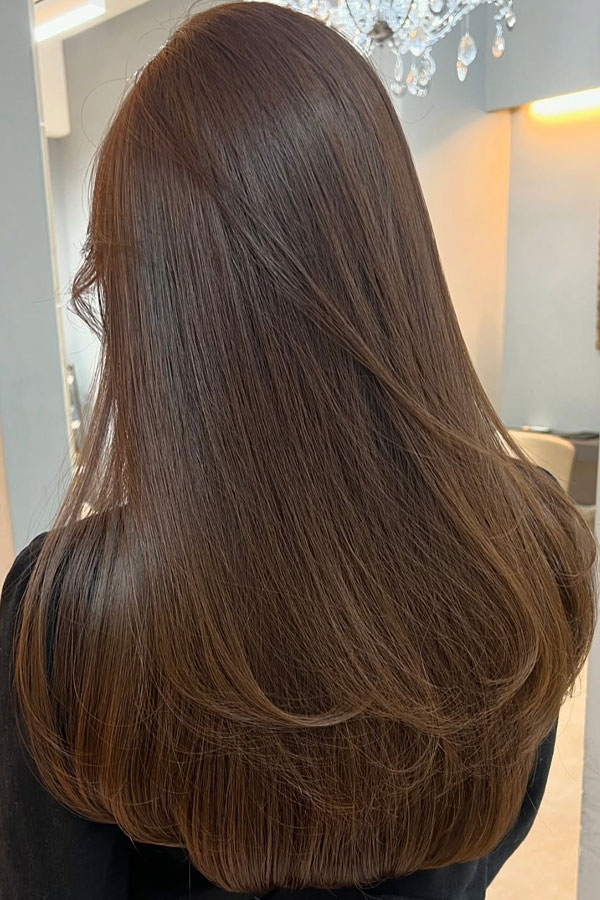 Silky Mocha Brown Long Hair with Soft Layers, Low Maintenance Hairstyle, brunette hair colour, Low-Maintenance Hairstyle, brunette hair colour, brown hair colour