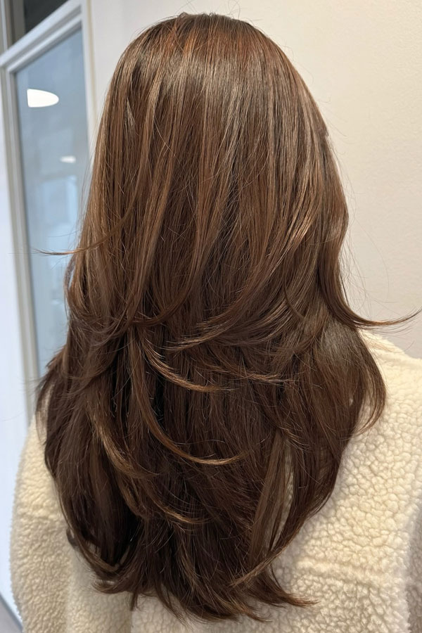 Warm Chestnut Straight Long Layers, hair colour, Low Maintenance Hairstyle, brunette hair colour, Low-Maintenance Hairstyle, brunette hair colour, brown hair colour