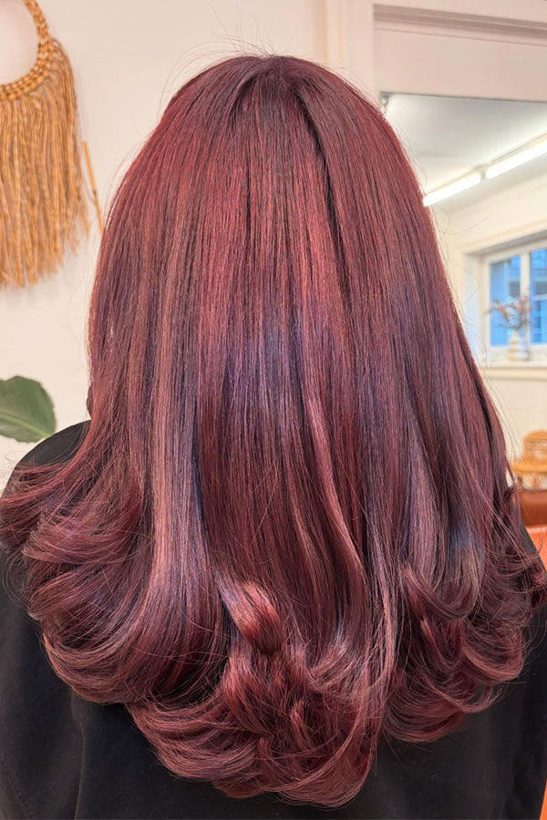 23 Juicy Cherry Hair Colour Shades : Rich Cherry Layered Ends with a Lustrous Finish