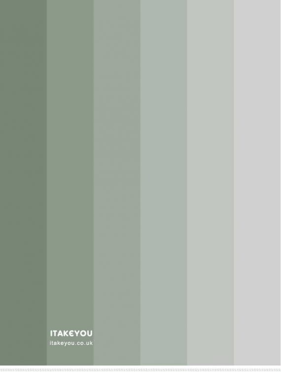 Shades Of Sage Color Palette I Take You 