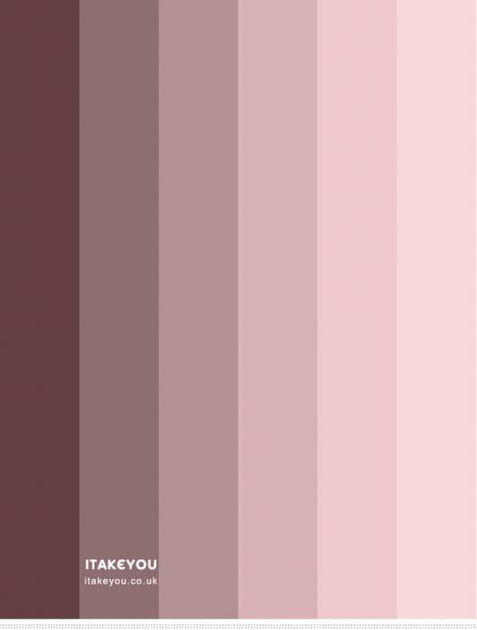 color palette image search
