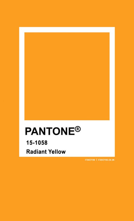 Pantone Color : Pantone Radiant Yellow Color I Take You | Wedding ...