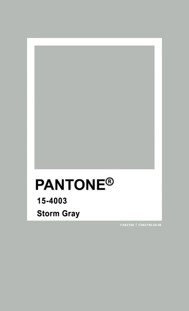 Pantone Color : Pantone Storm Gray Color I Take You | Wedding Readings ...