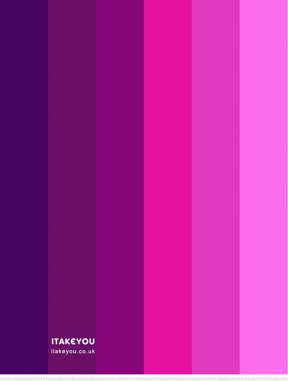 pantone-fuchsia-purple-in-2020-pantone-pink-pantone-colour-palettes