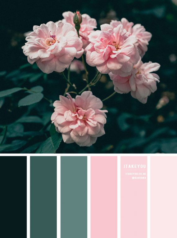 Green and pink color scheme I Take You | Wedding Readings | Wedding