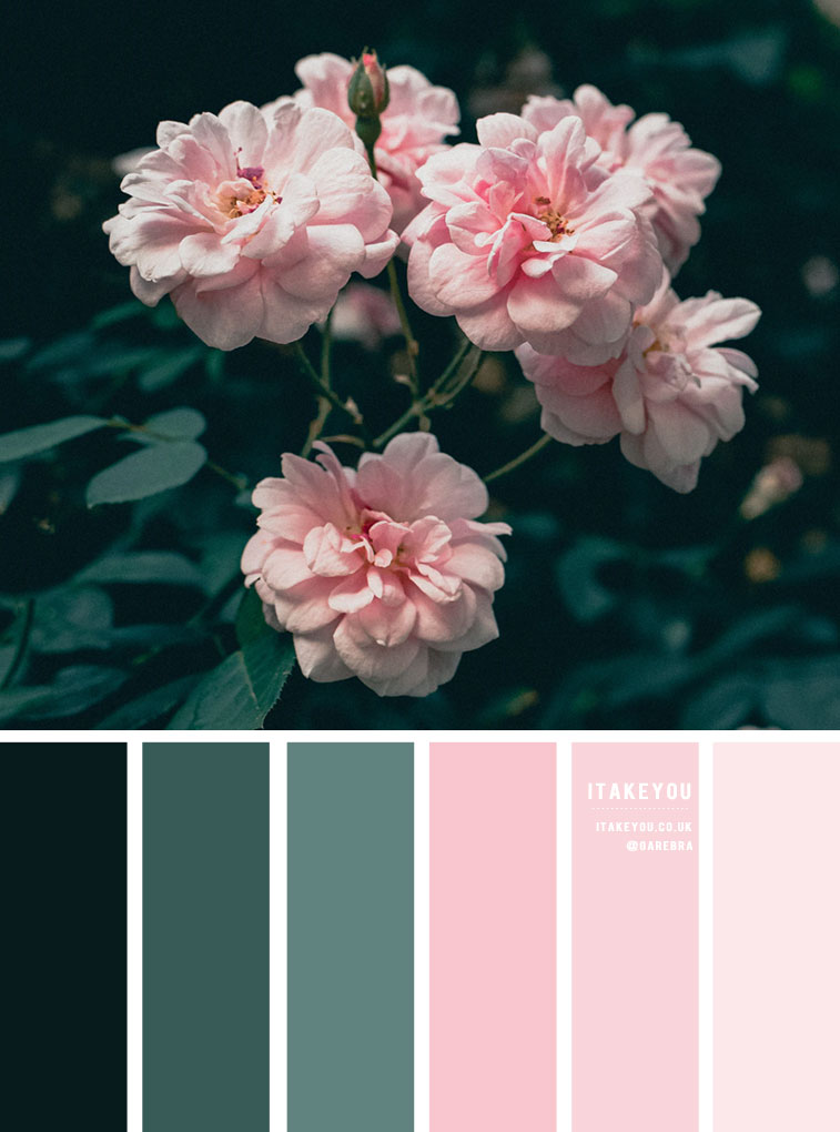 aesthetic pink color palette