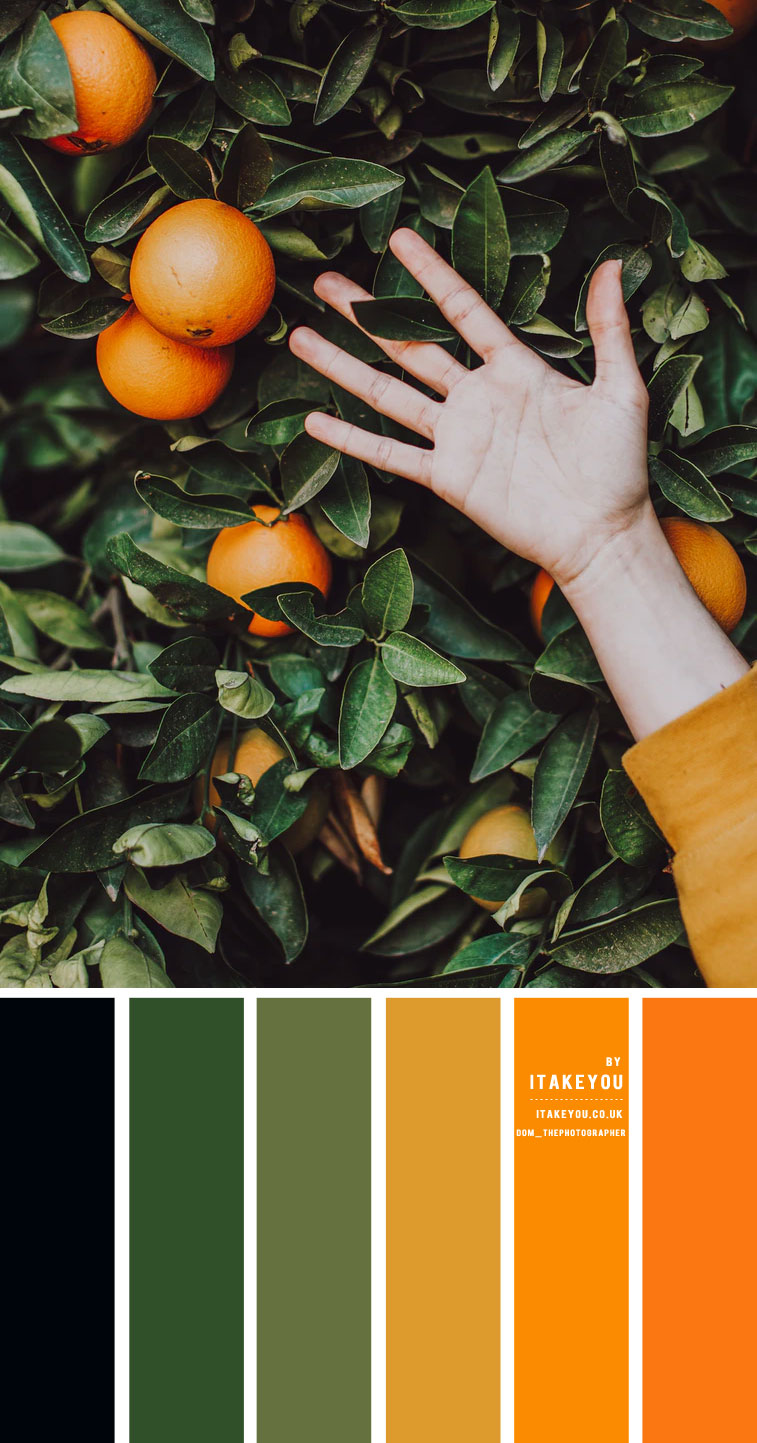 Black Green Orange and Mustard Yellow Color Scheme – Color Palette #33 I  Take You | Wedding Readings | Wedding Ideas | Wedding Dresses | Wedding  Theme