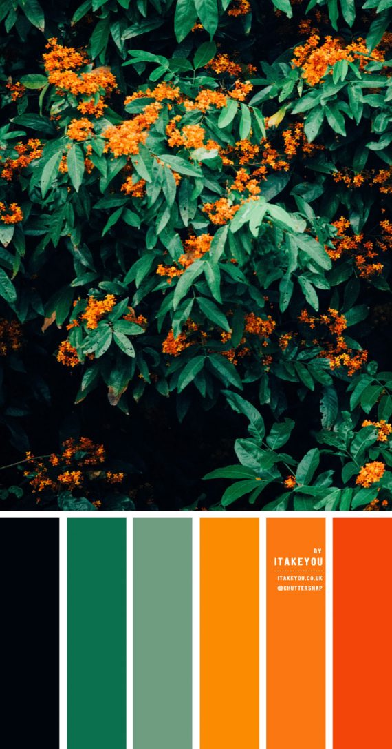 Black Green and Orange Color Scheme – Color Palette #32 I Take You ...