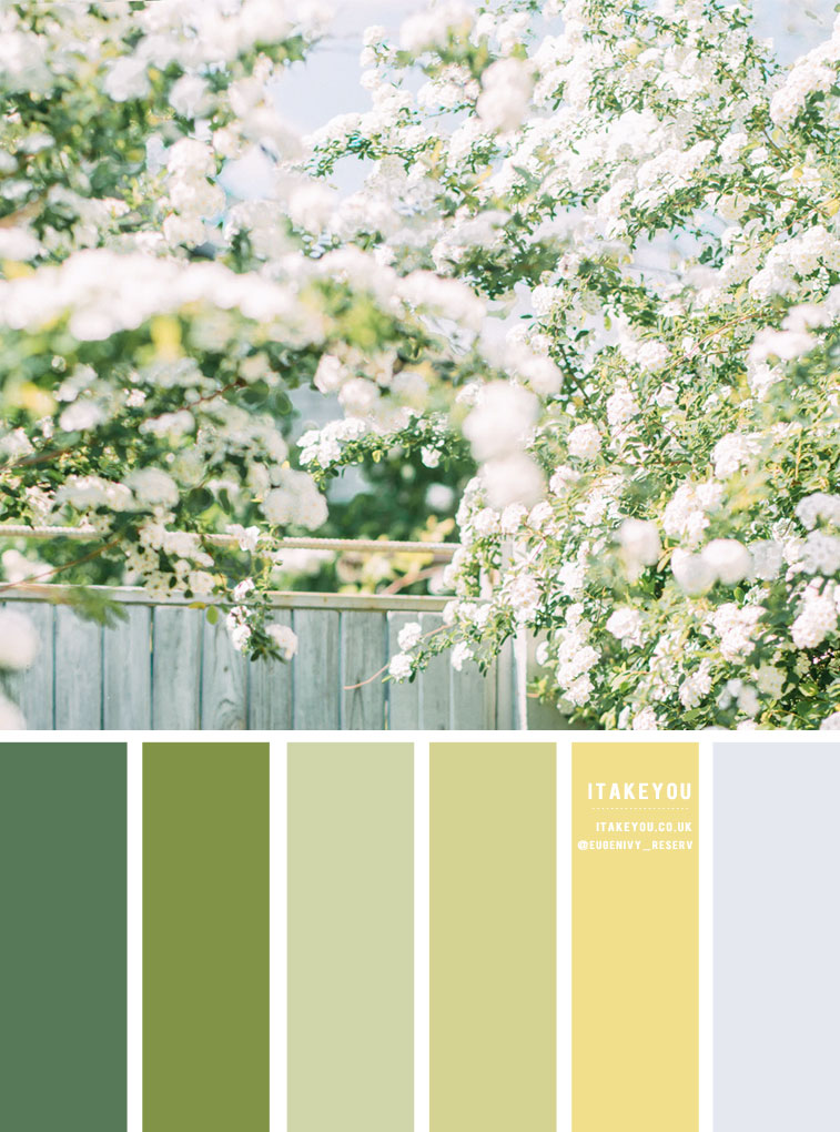 Pantone Color : Pantone Lime Green Color I Take You, Wedding Readings, Wedding Ideas, Wedding Dresses