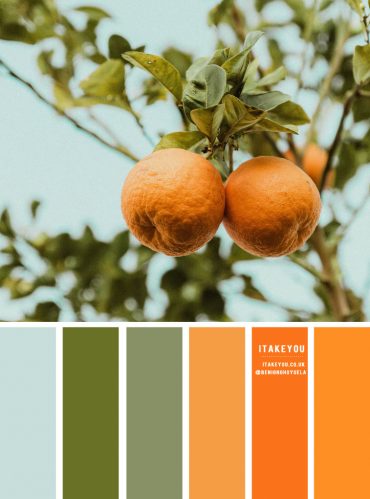 Powder Blue, Chive and Orange Hue Color Palette