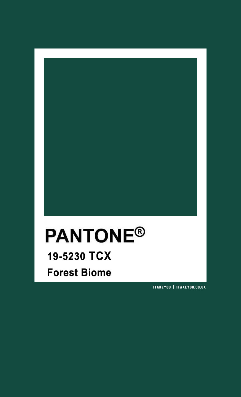 Pantone Color : Pantone Forest Biome Color I Take You