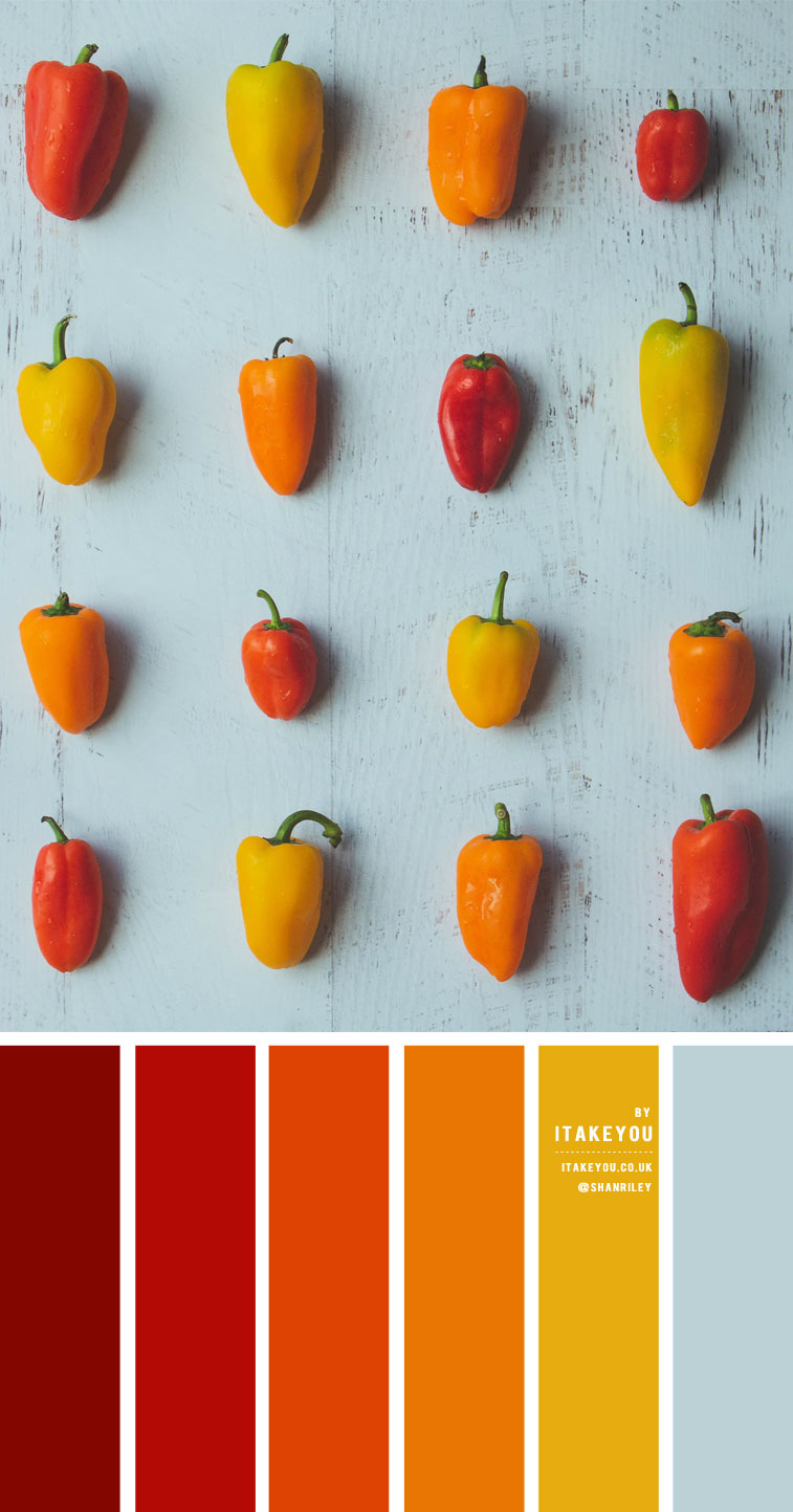 Red Orange Yellow And Light Blue Colour Scheme – Colour Palette