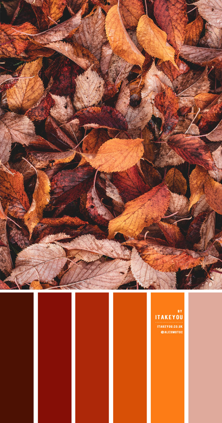 Rust Color Scheme – Color Palette #35 I Take You | Wedding Readings ...