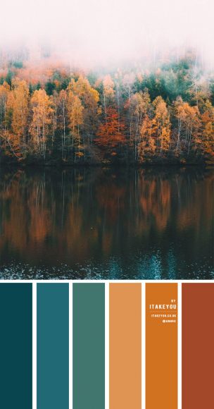 Teal and Pumpkin Colour Combo – Autumn Colour Palette | Colour Ideas