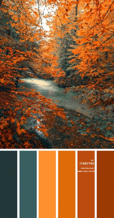 Fall Color Combo | Green Teal and Shades of brown leaf Color Combo