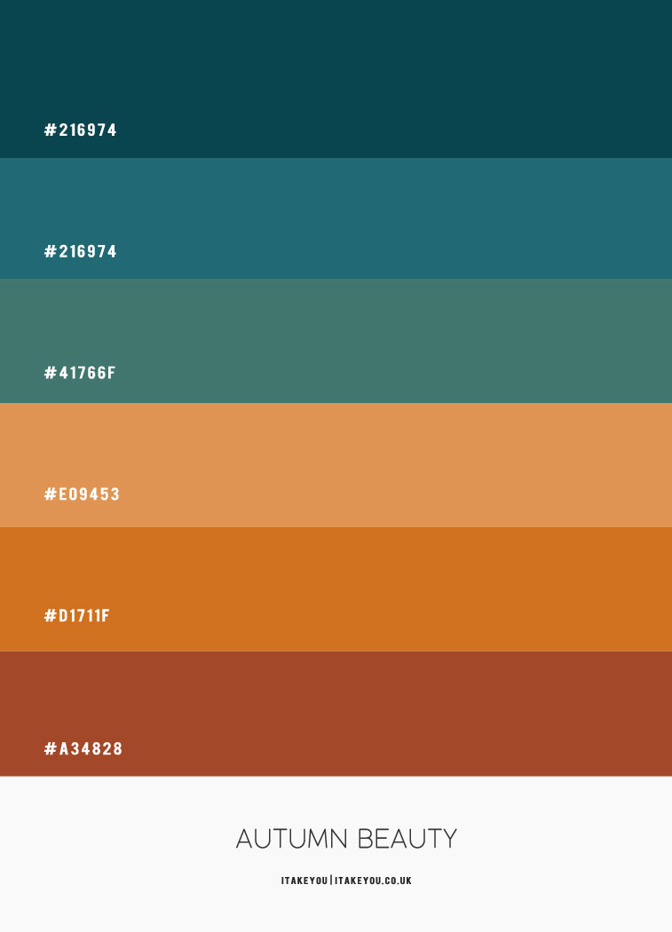 Teal and Pumpkin Colour Combo – Autumn Colour Palette | Colour Ideas