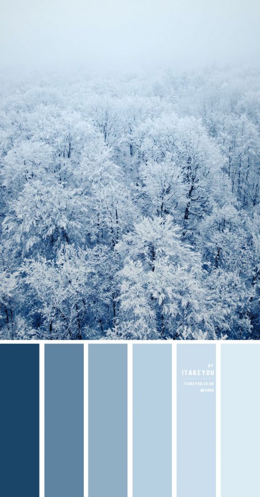 Blue Winter Colour Palette { Shades Of Blue Colour Scheme } | itakeyou