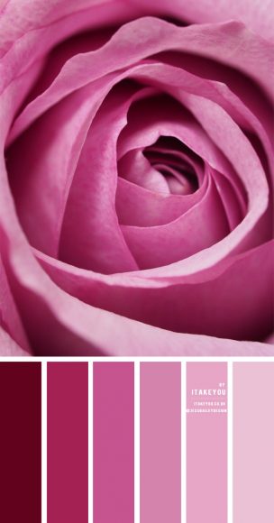 Shades of Pink Colour Combination - Pink Color Names | itakeyou.co.uk