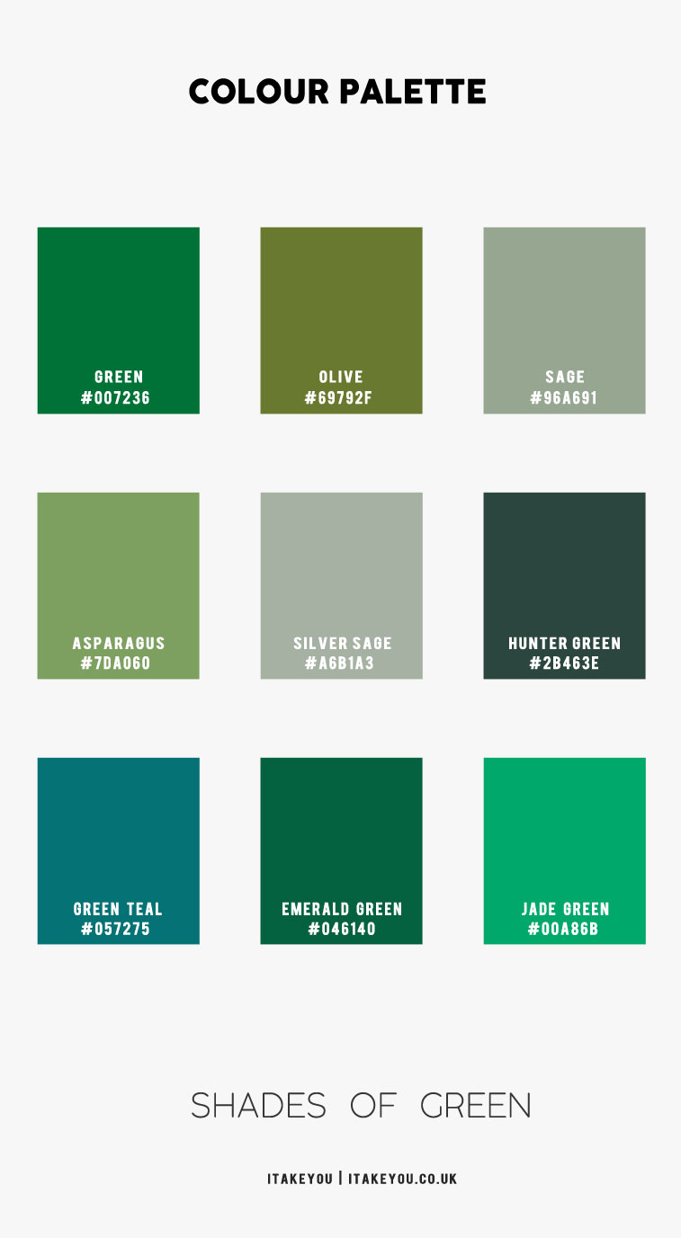 Jade Green Color Palette