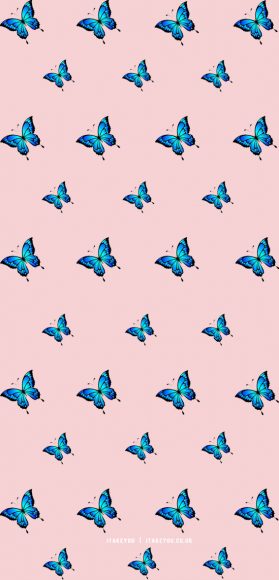 Butterfly wallpaper aesthetic | Blue butterfly wallpaper background designs