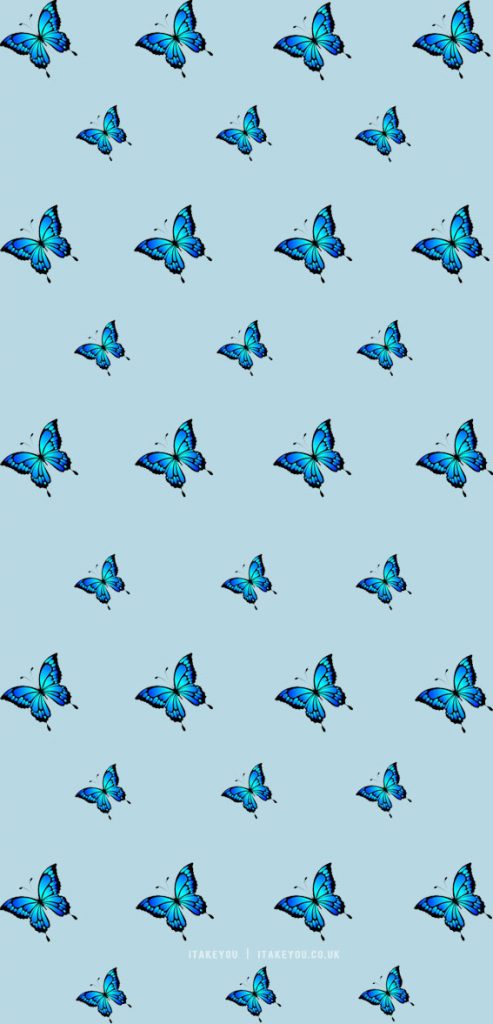 Butterfly wallpaper aesthetic | Blue butterfly wallpaper background designs