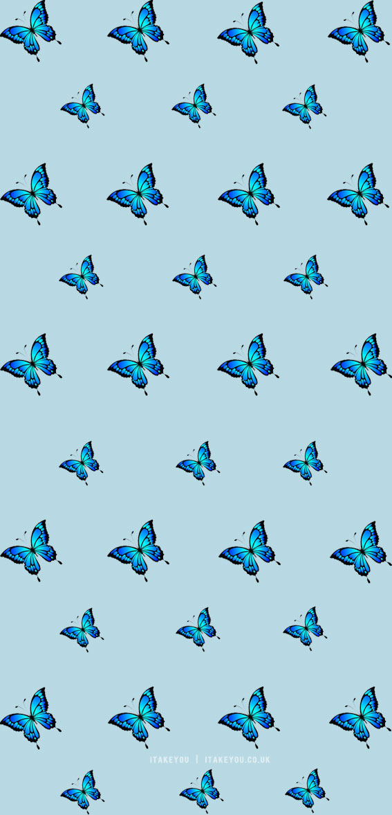 Butterfly wallpaper aesthetic  Blue butterfly wallpaper background designs