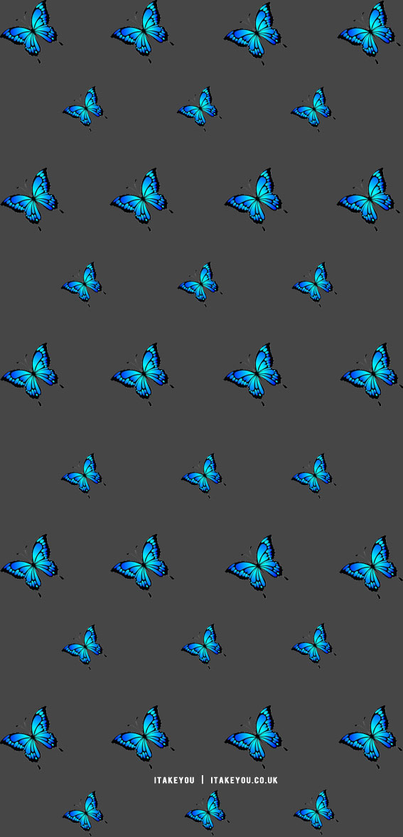 Butterfly wallpaper aesthetic | Blue butterfly wallpaper background designs