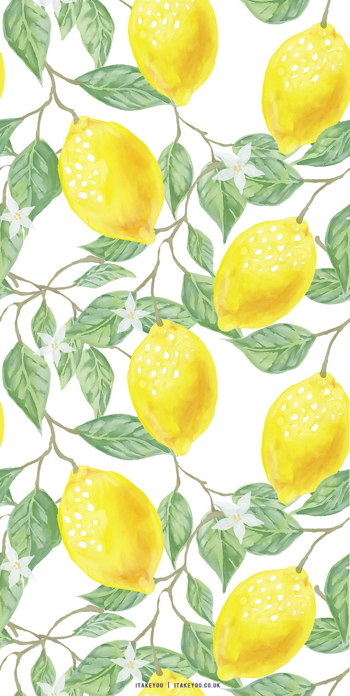 Fresh Cool Lemon Slice Overlap Background iPhone 8 Wallpapers Free Download