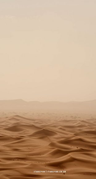 10 Aesthetic Brown Wallpapers : Desert Brown Wallpaper I Take You ...