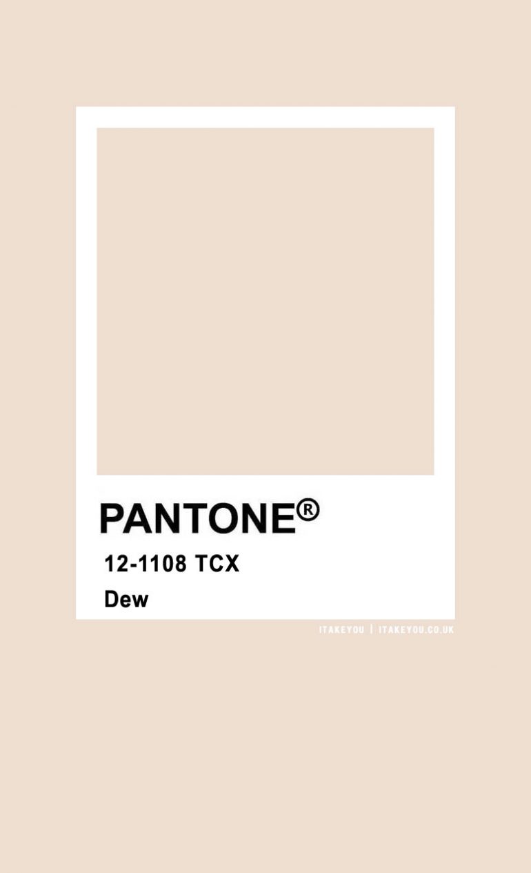 pantone-dew-12-1108-tcx-pantone-color-i-take-you-wedding-readings