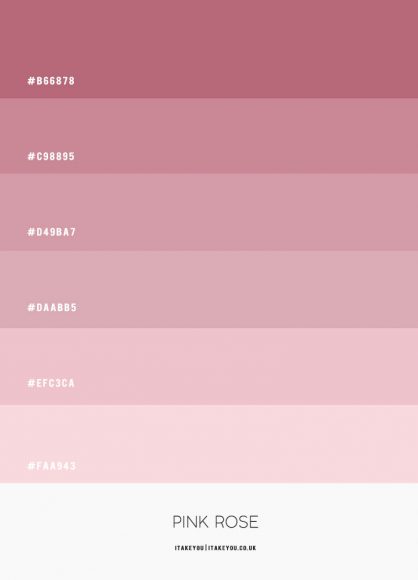 pink-rose-colour-scheme-shades-of-pink-colour-palette-pink-combos