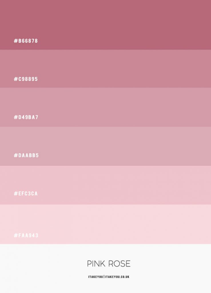 Pinkish Color Palette Color Palette Pink Color Palett - vrogue.co