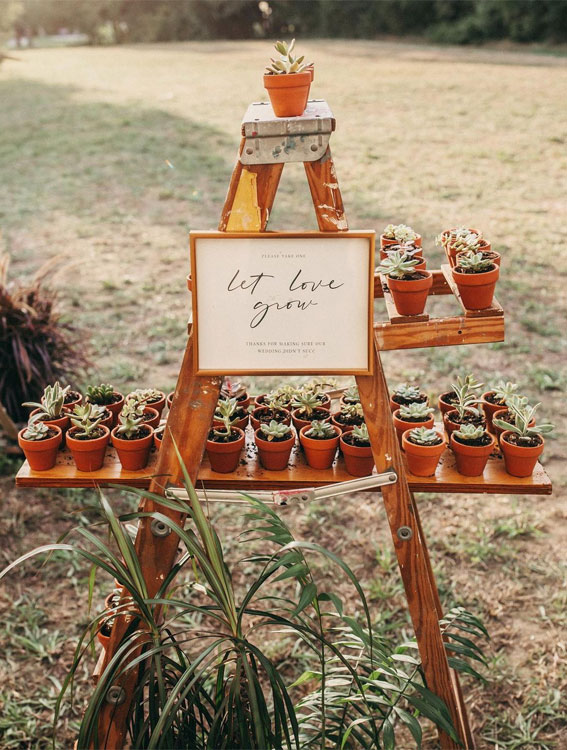 succulent wedding favors, autumn wedding ideas 2021