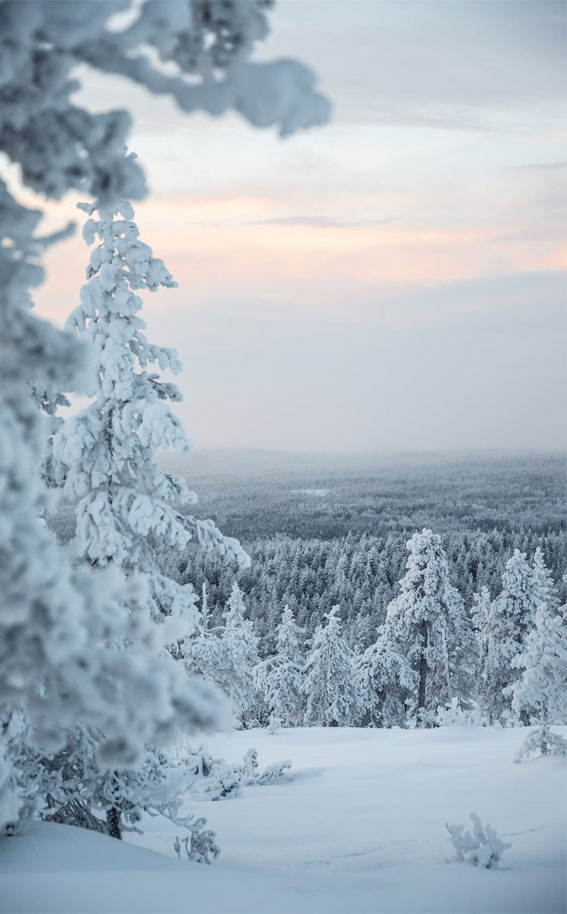 winter photo wallpaper