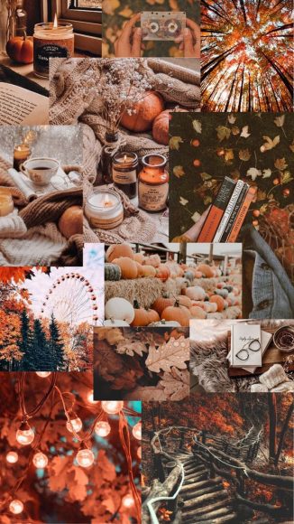 30 Cute Brown Aesthetic Wallpapers for Phone : Fall Aesthetic Wallpaper ...