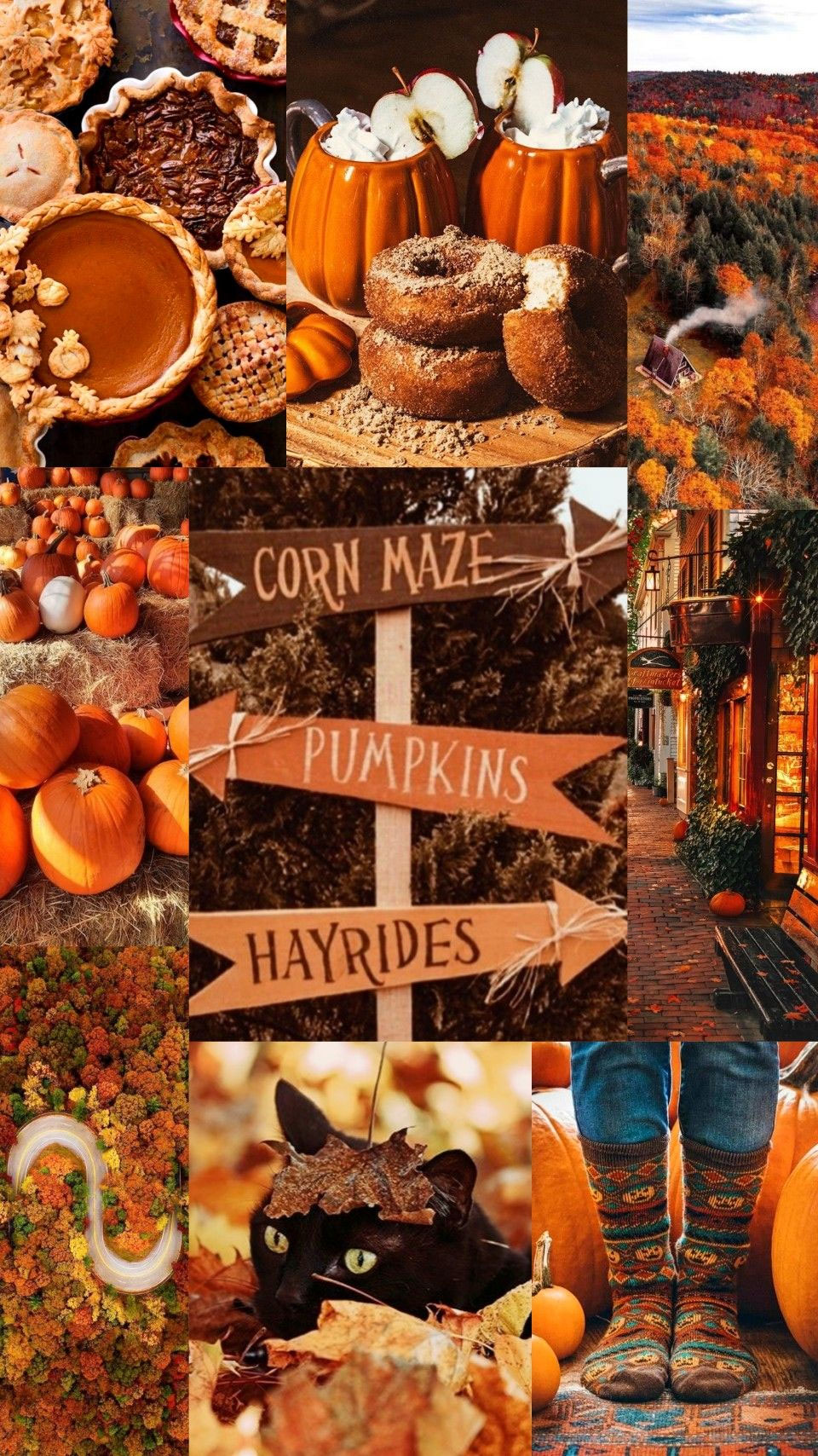 Fall aesthetic collage HD wallpapers  Pxfuel