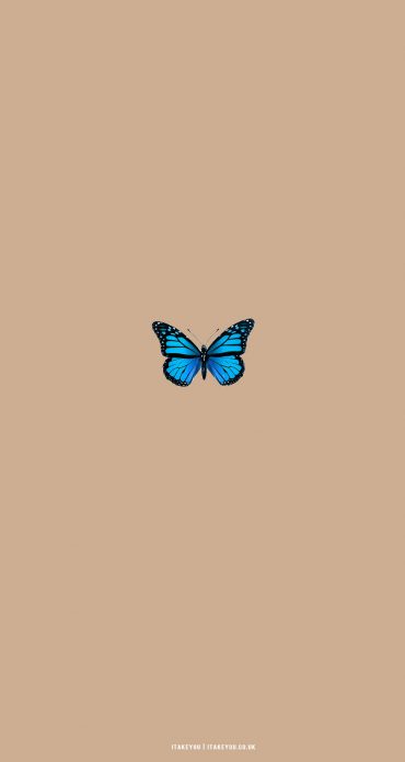 30 Cute Brown Aesthetic Wallpapers for Phone : Blue Butterfly I Take ...