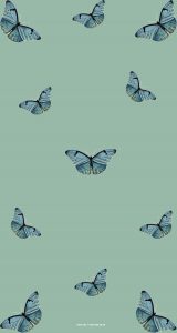 15 Sage Green Minimalist Wallpapers for Phone : Butterfly Butterfly I ...