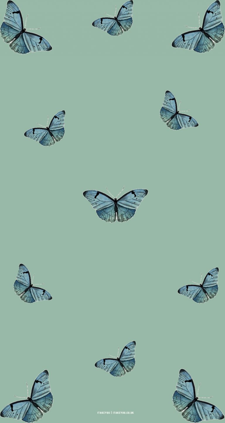 15 Sage Green Minimalist Wallpapers For Phone : Butterfly Butterfly I 