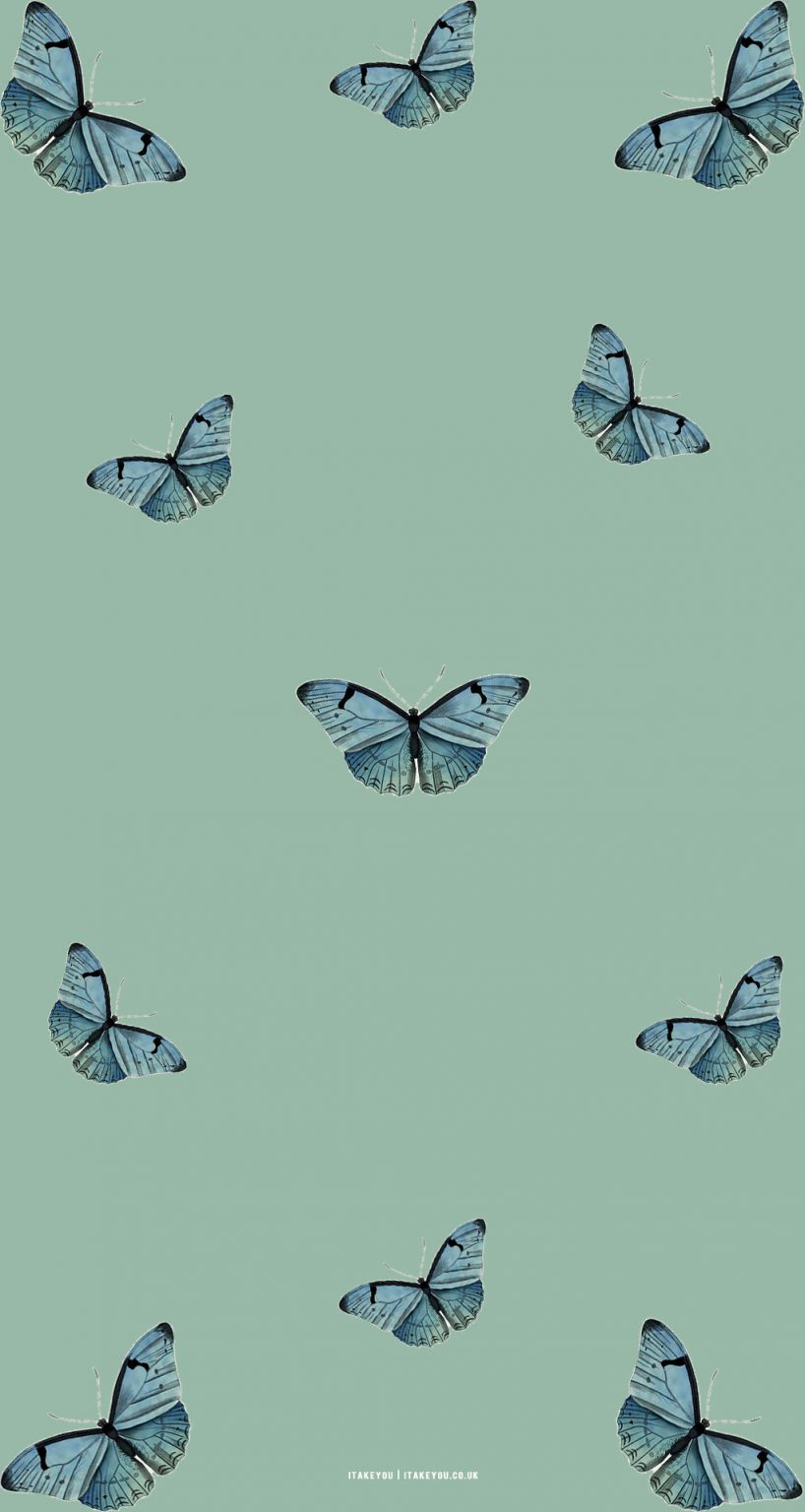 15 Sage Green Minimalist Wallpapers for Phone : Butterfly Butterfly I ...