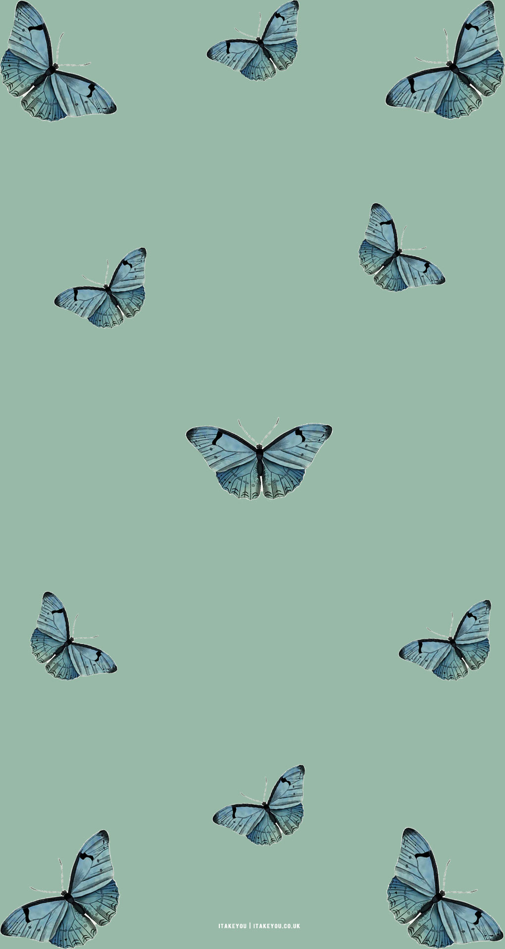 40  Whimsical Butterfly Wallpapers for iPhone  The Mood Guide